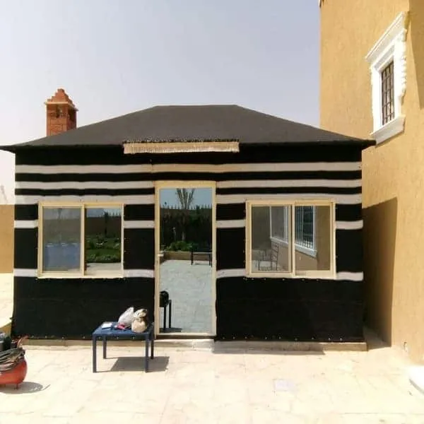 صورة المقال