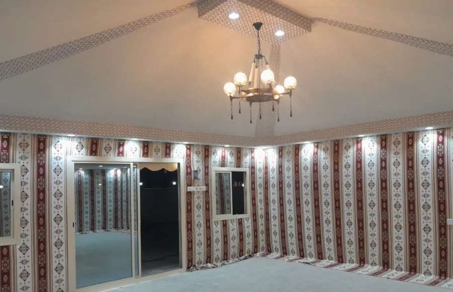 صورة إضافية