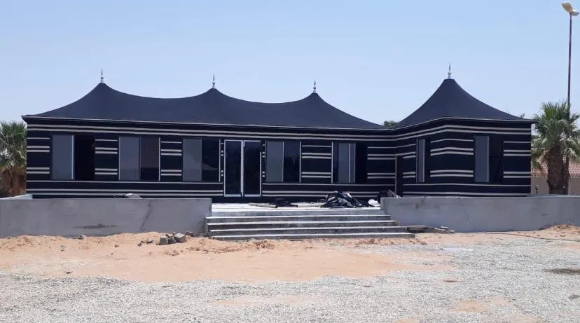 صورة المقال