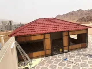 صورة إضافية