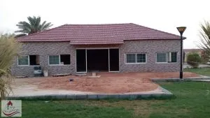 صورة إضافية