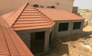 صورة إضافية