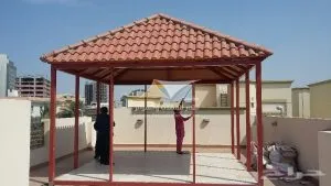 صورة إضافية