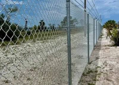 صورة المقال