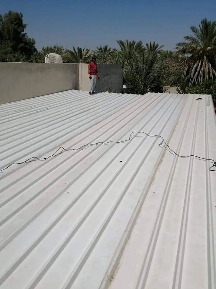 صورة إضافية