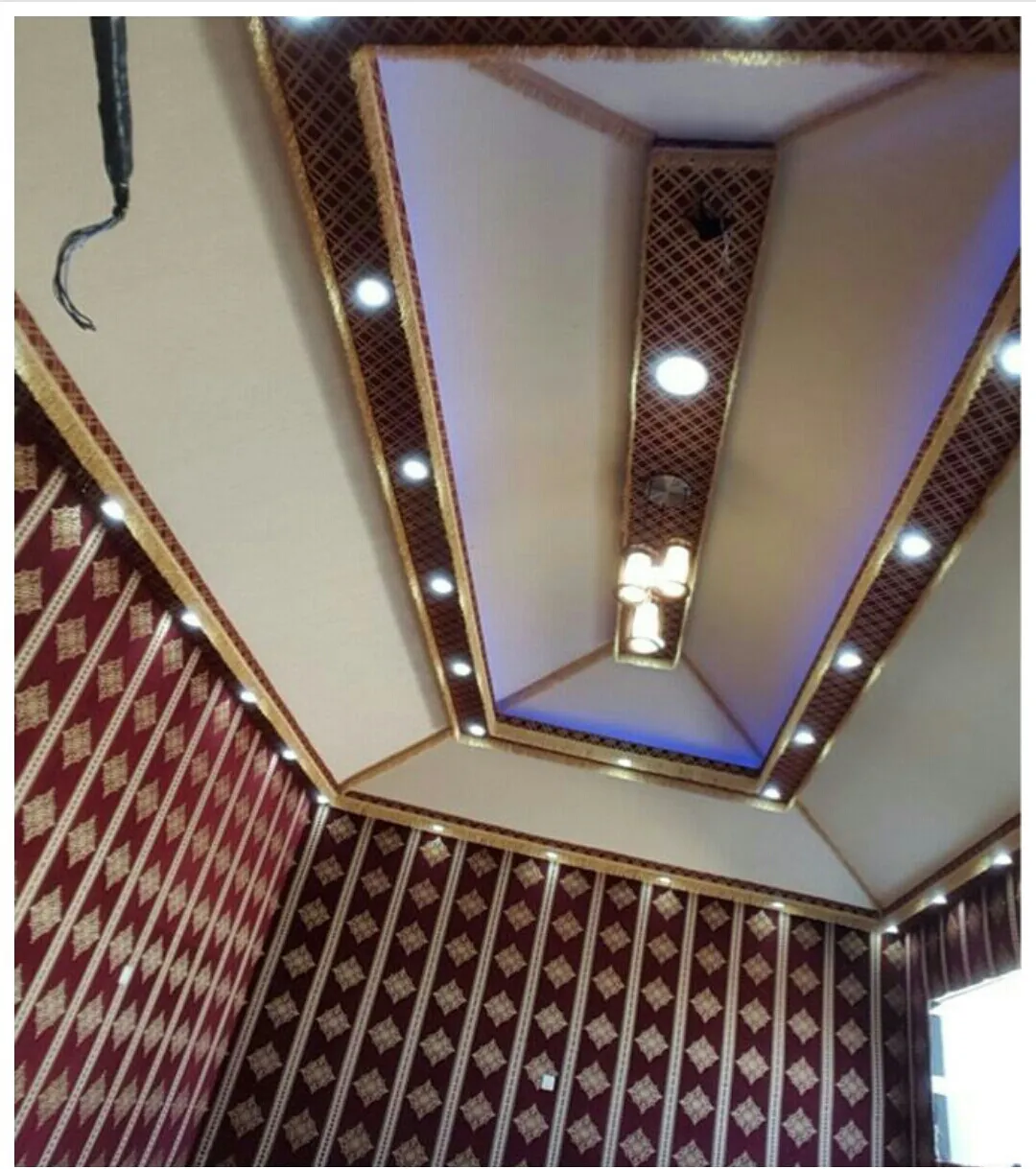 صورة إضافية