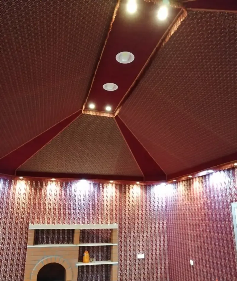 صورة إضافية