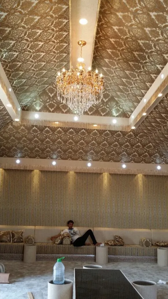 صورة إضافية