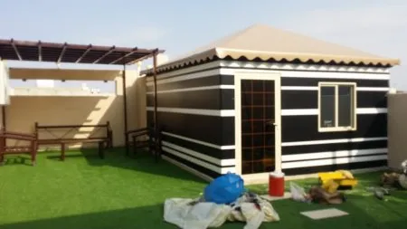 صورة إضافية