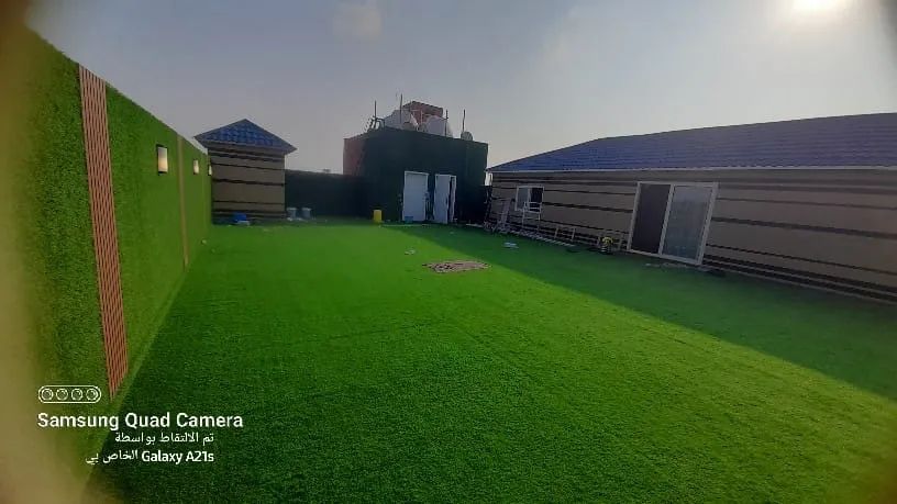 صورة إضافية