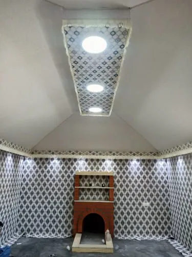 صورة إضافية