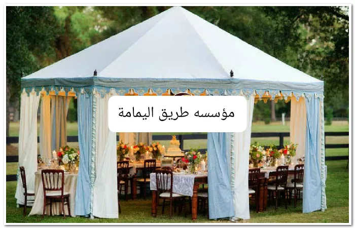 صورة المقال