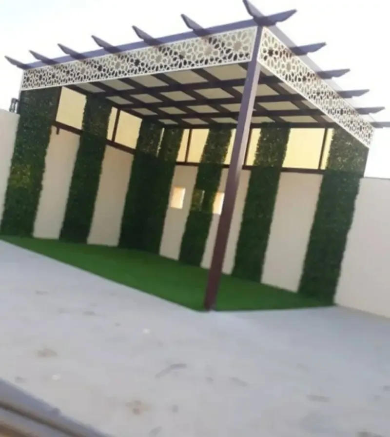 صورة إضافية