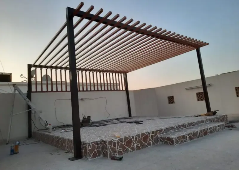 صورة إضافية