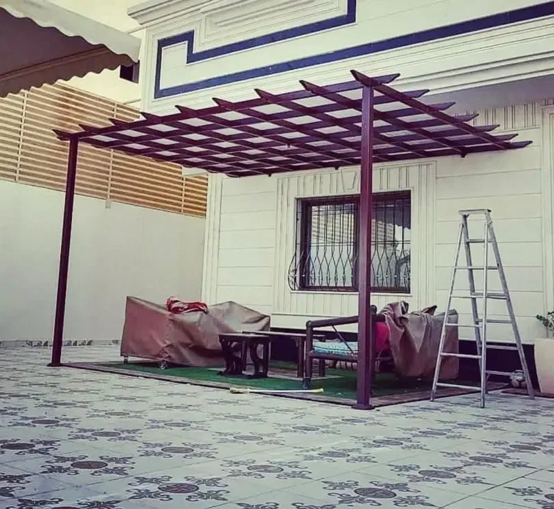 صورة إضافية