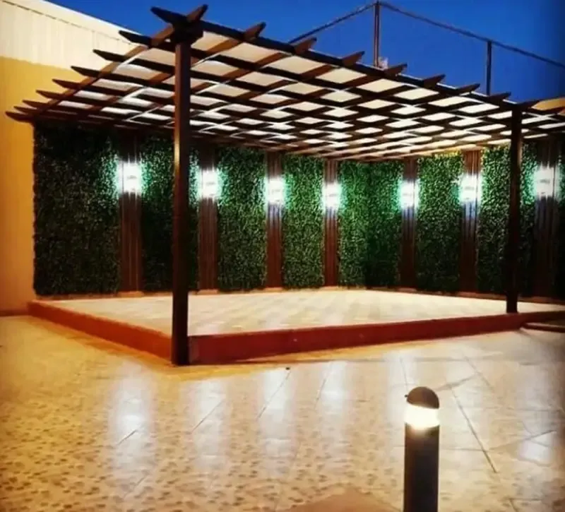 صورة إضافية