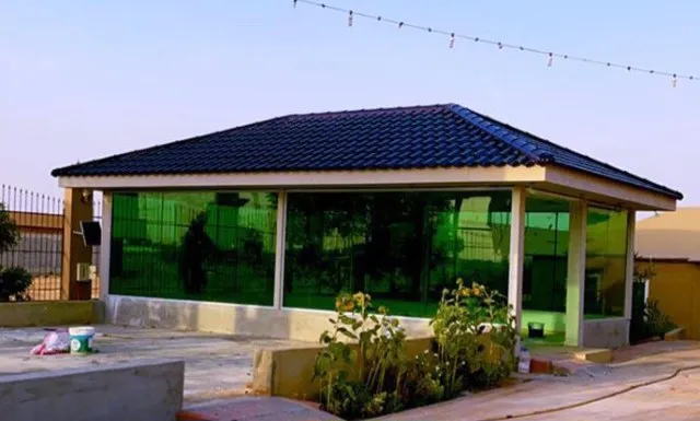 صورة إضافية