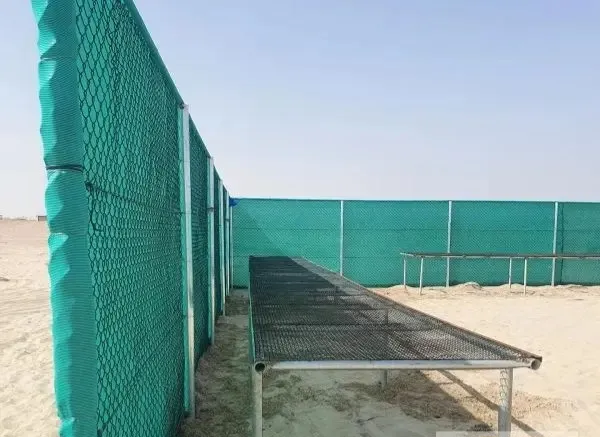 صورة المقال