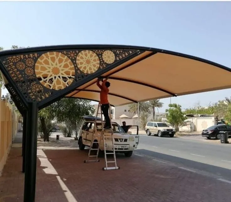 صورة إضافية