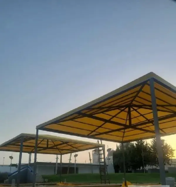 صورة المقال