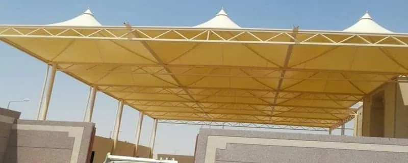 صورة المقال