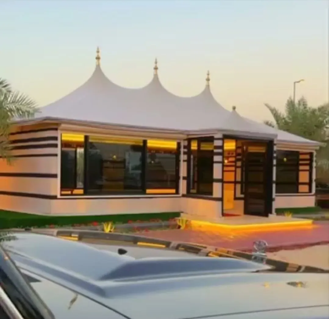 صورة المقال