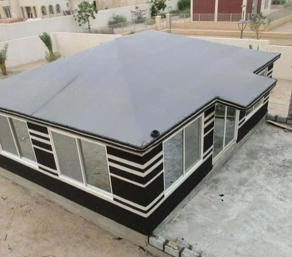 صورة إضافية