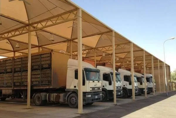 صورة المقال