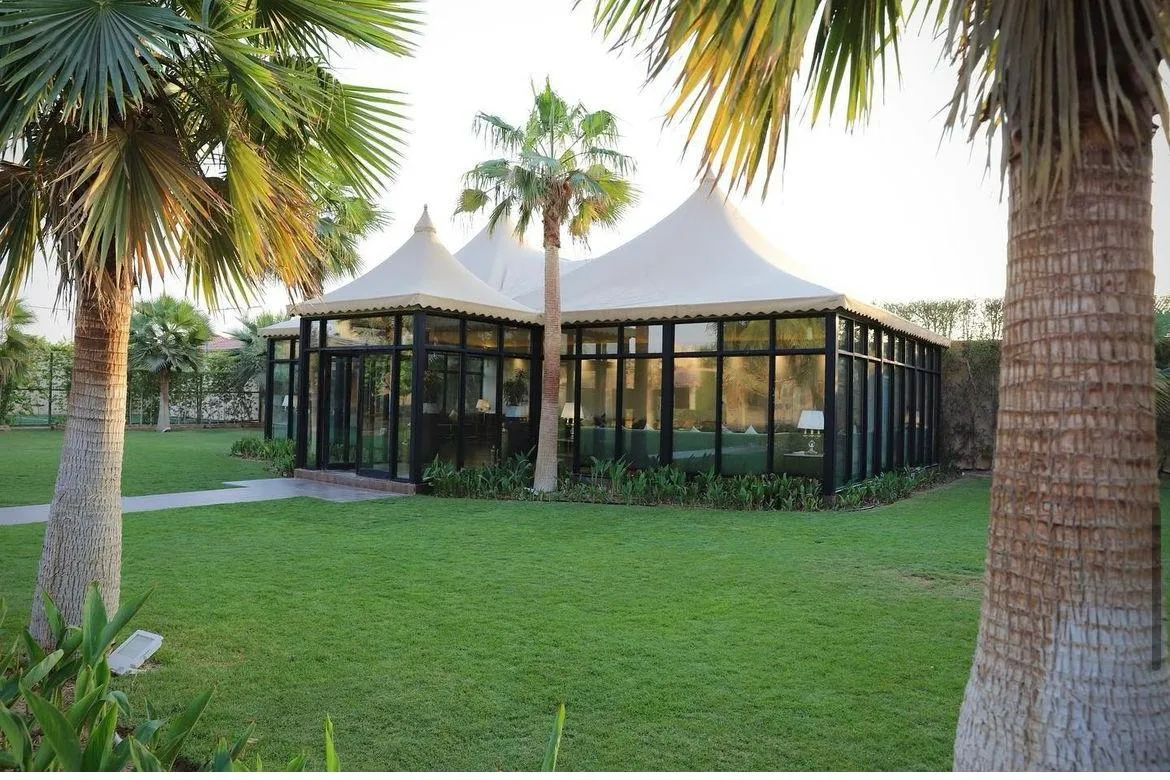 صورة المقال