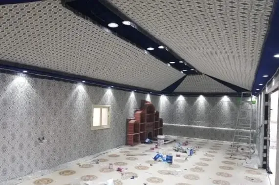 صورة إضافية