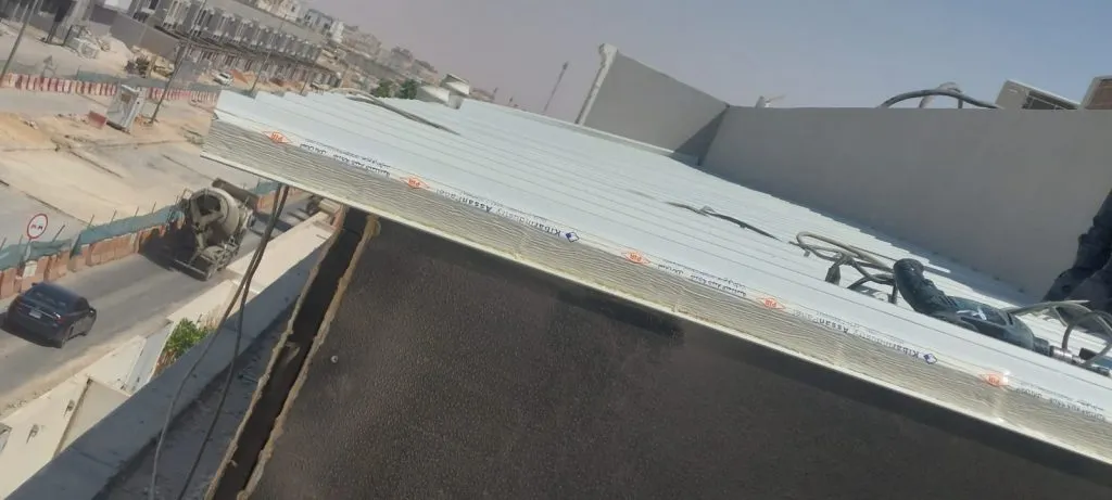 صورة إضافية