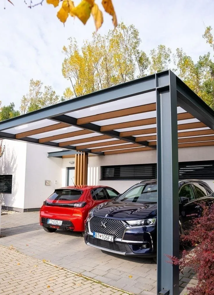 صورة المقال