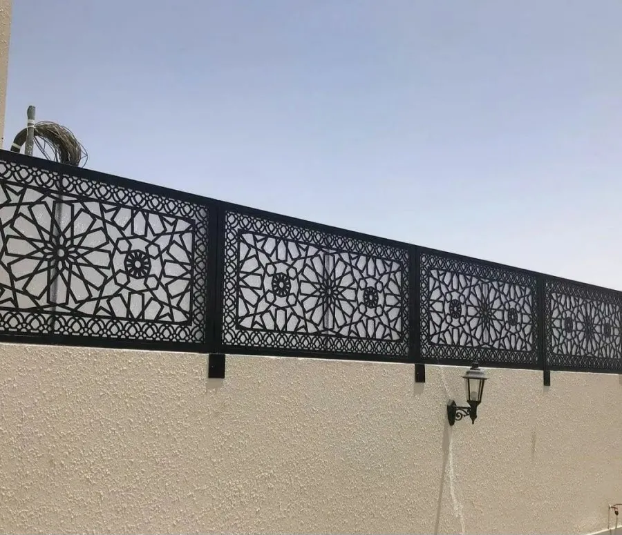 صورة إضافية