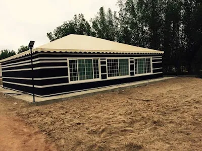 صورة إضافية