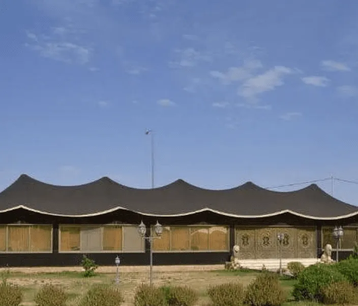 صورة إضافية