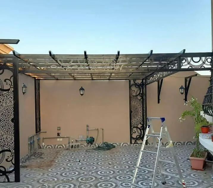 صورة إضافية