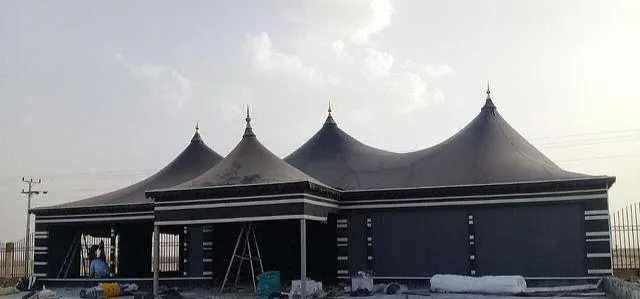 صورة المقال