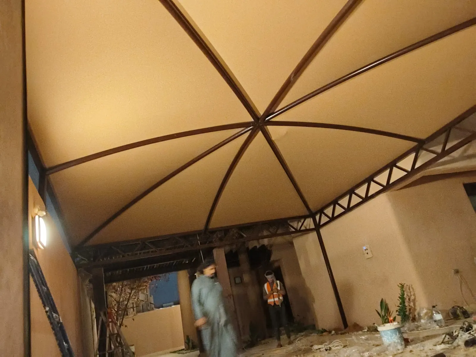 صورة إضافية