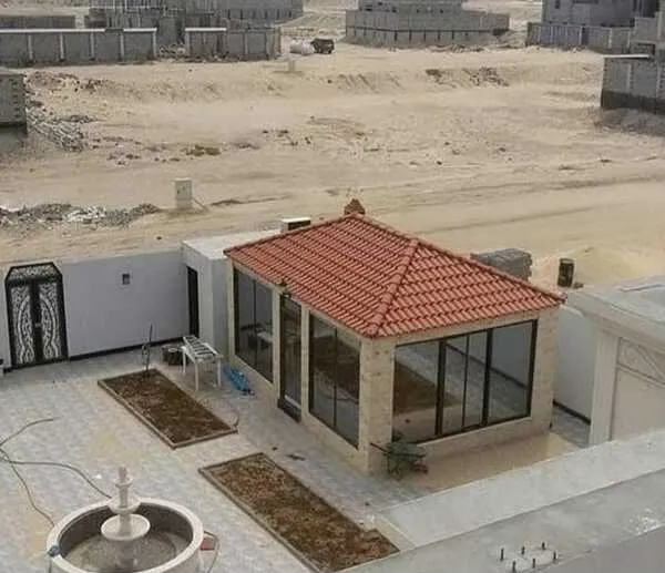 صورة إضافية