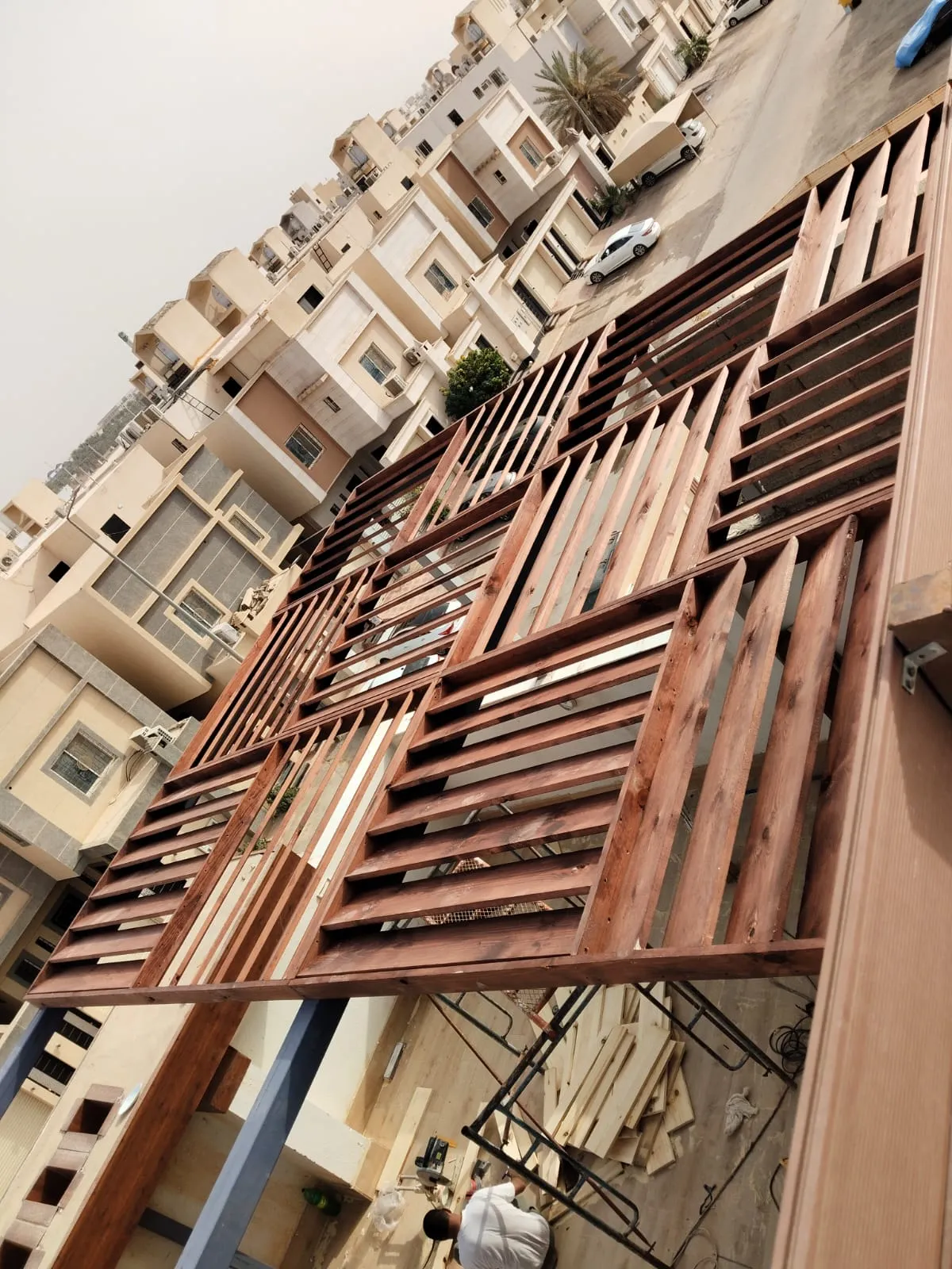 صورة إضافية