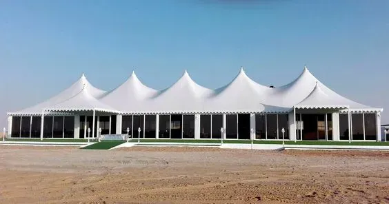 صورة المقال