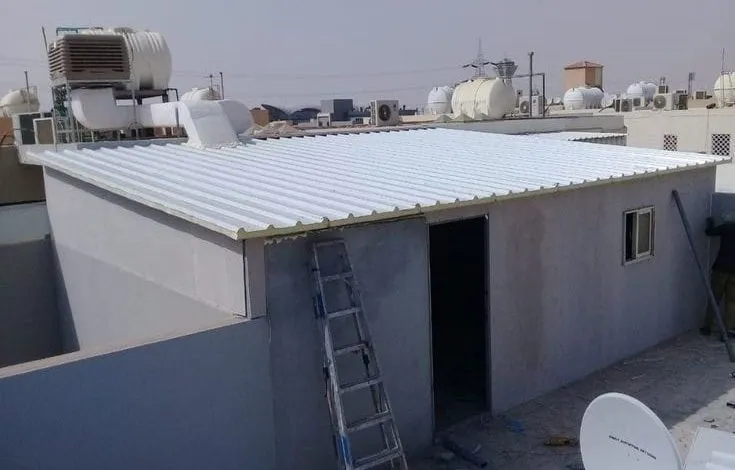 صورة إضافية