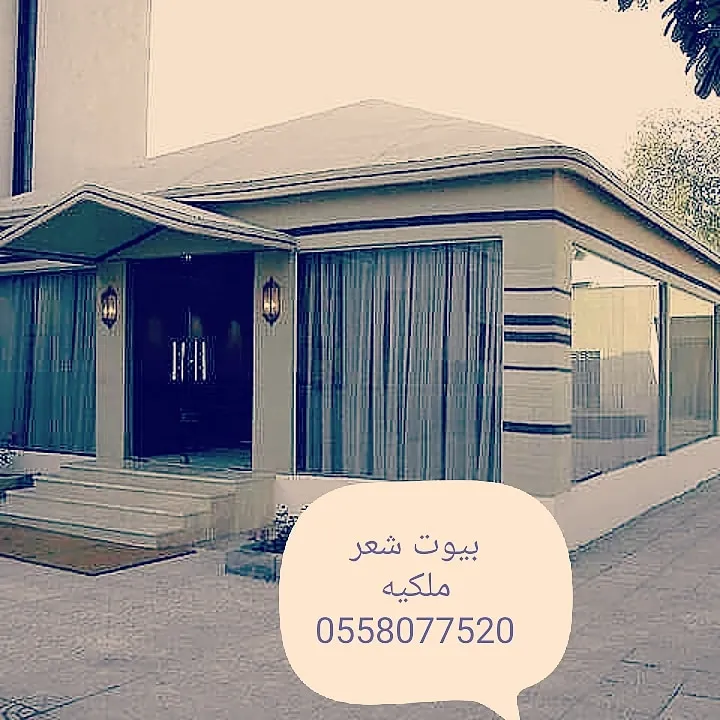 صورة المقال