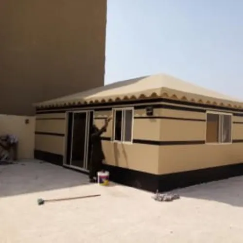 صورة إضافية