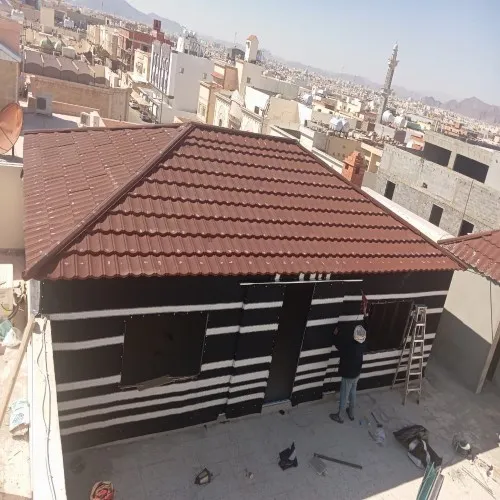 صورة إضافية