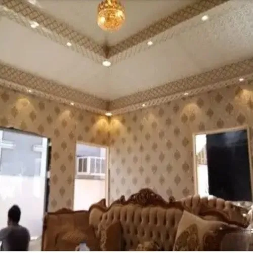 صورة إضافية