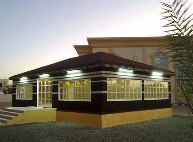 صورة إضافية