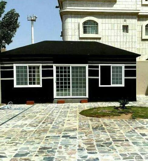 صورة إضافية