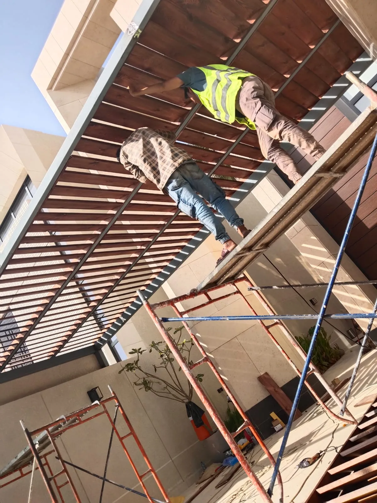 صورة إضافية