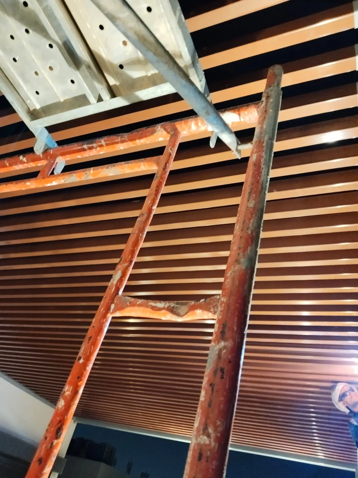 صورة إضافية